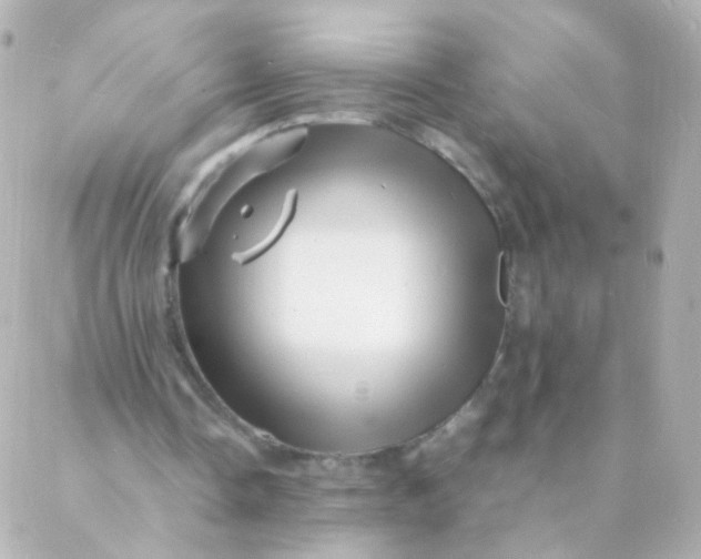 X0000088130338200705291338