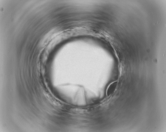 X0000088130339200705291338