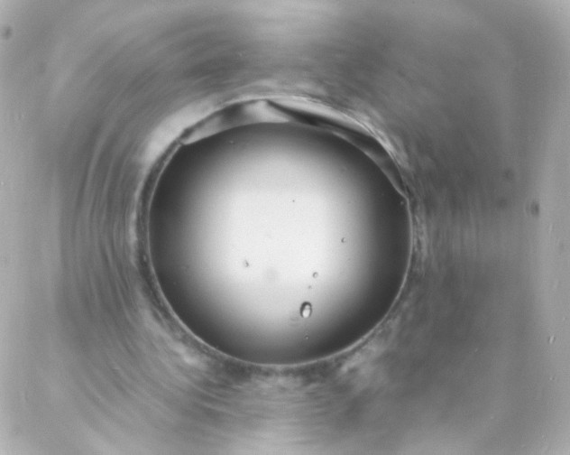 X0000088130340200705291338