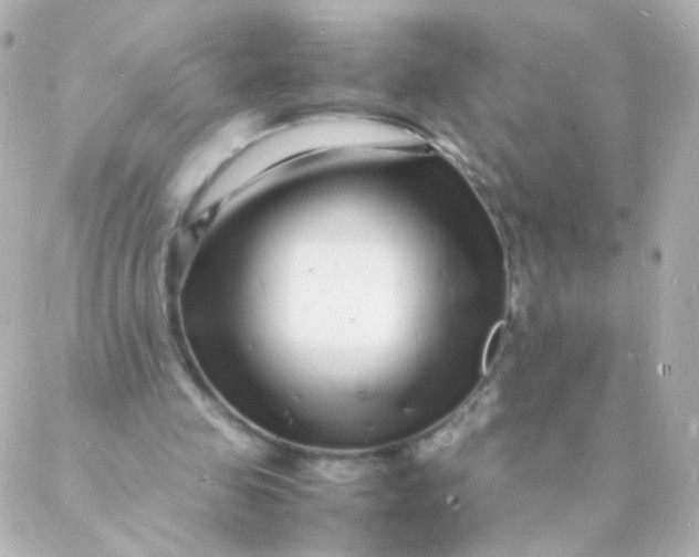 X0000088130341200705291338