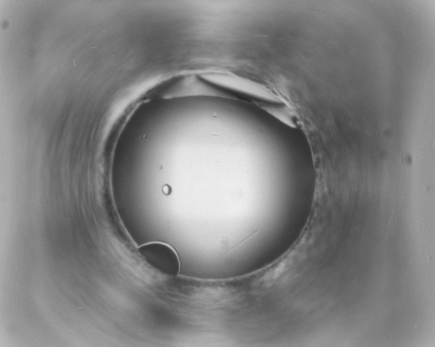 X0000088130342200705291338