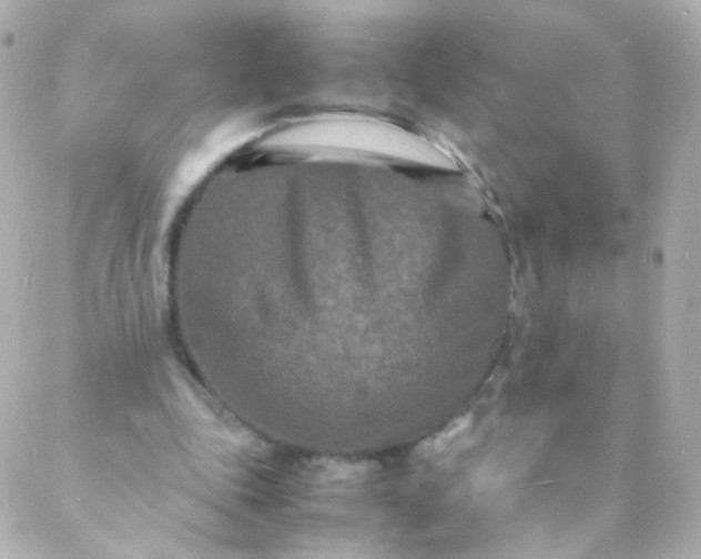 X0000088130343200705291338