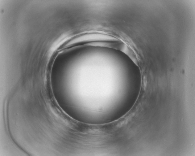 X0000088130344200705291338