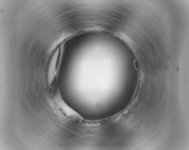 X0000088130345200705291338