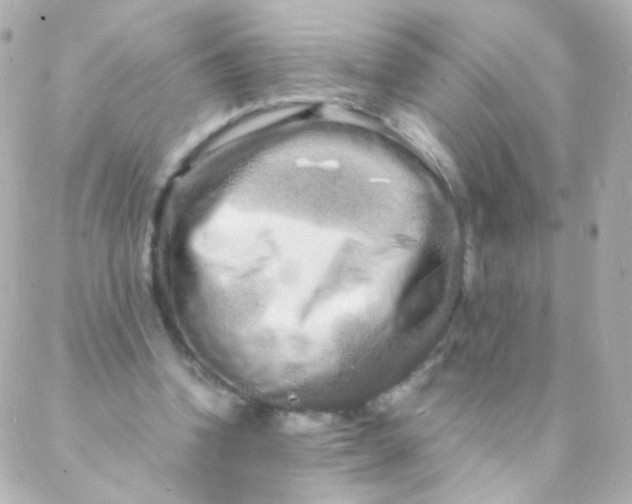 X0000088130346200705291338