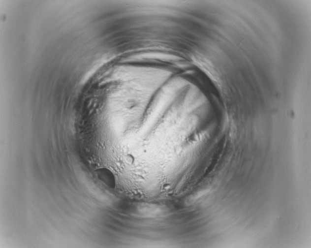 X0000088130347200705291338