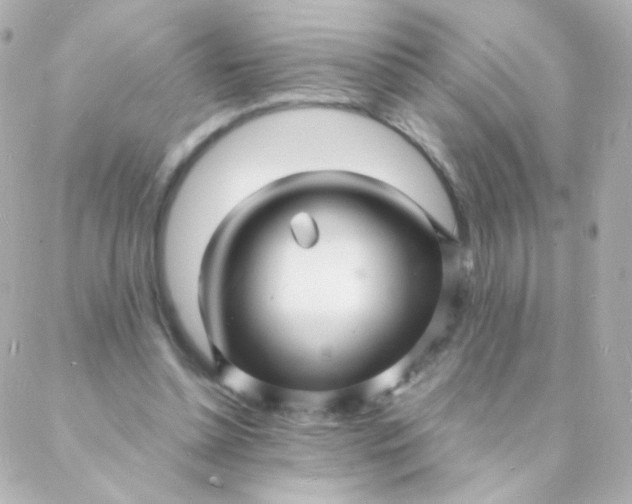 X0000088130348200705291338