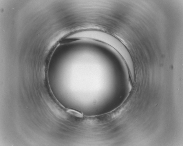 X0000088130350200705291338