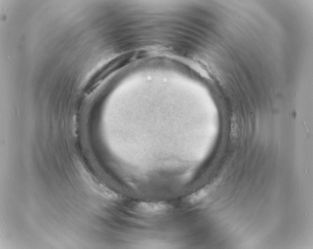 X0000088130351200705291338