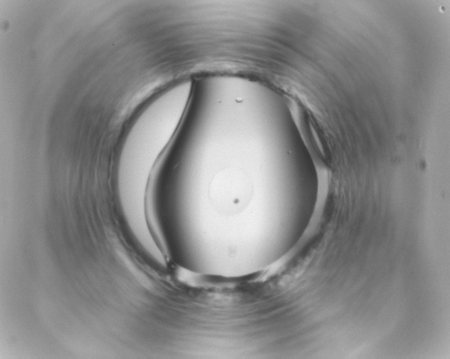 X0000088130352200705291338