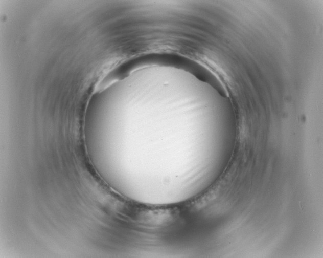 X0000088130353200705291338