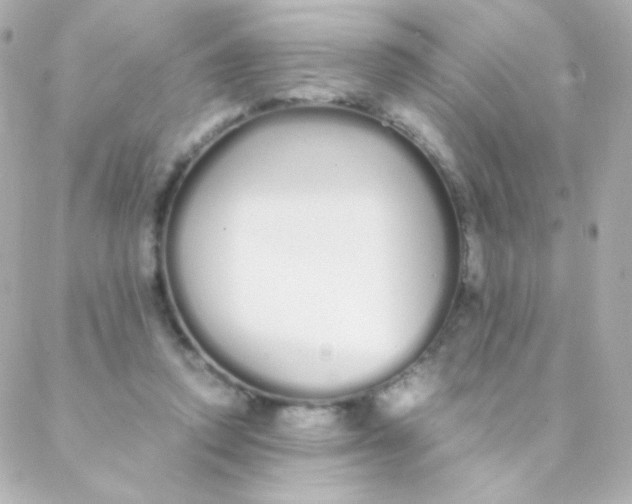 X0000088130354200705291338