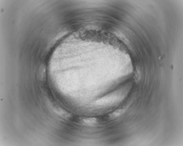 X0000088130355200705291338