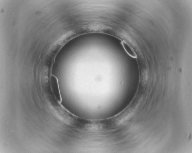 X0000088130356200705291338