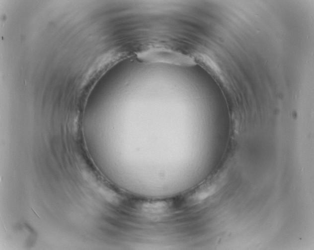 X0000088130357200705291338