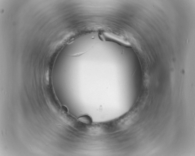 X0000088130358200705291338