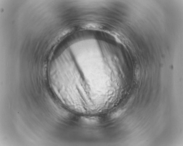 X0000088130359200705291338