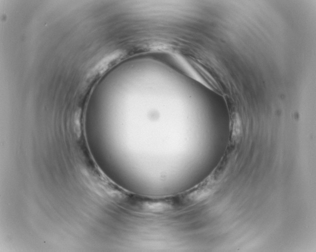 X0000088130360200705291339