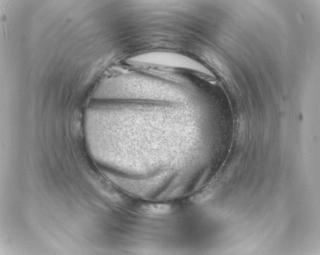 X0000088130361200705291339