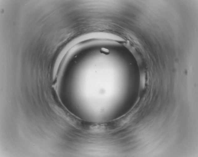 X0000088130362200705291339