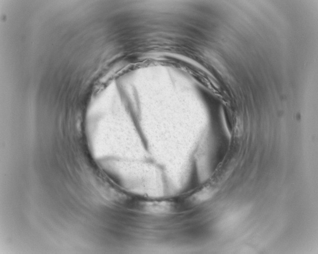 X0000088130363200705291339