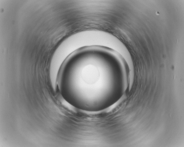 X0000088130364200705291339