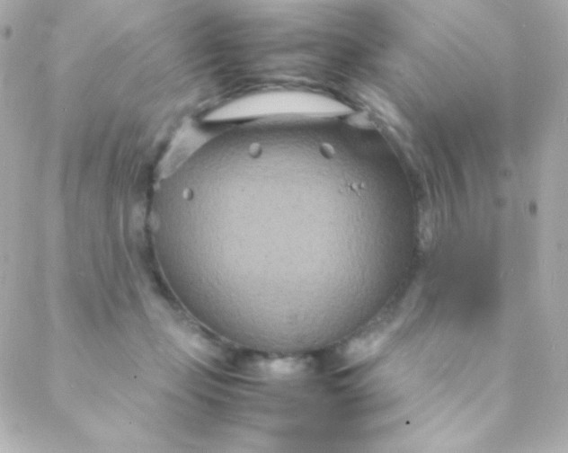 X0000088130365200705291339