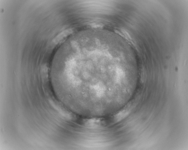 X0000088130366200705291339