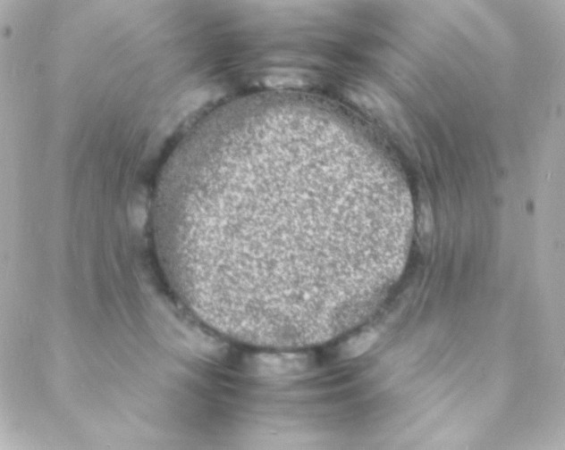 X0000088130367200705291339