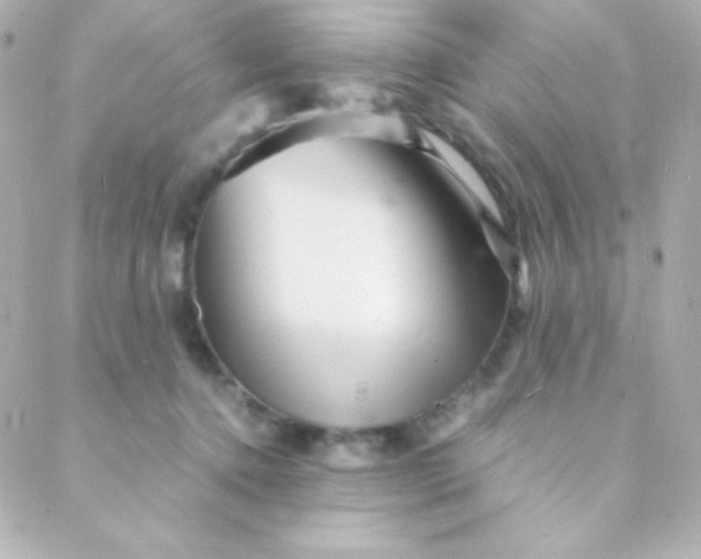 X0000088130368200705291339