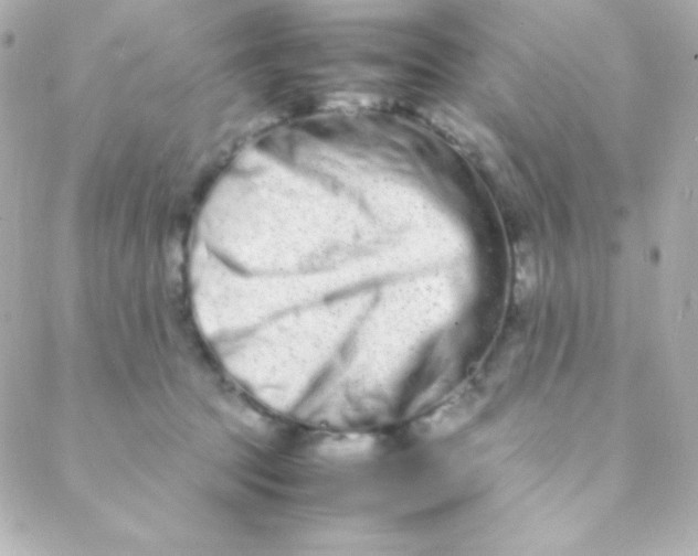 X0000088130369200705291339