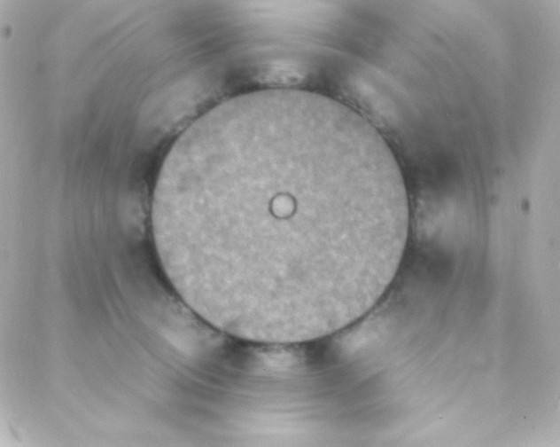 X0000088130370200705291339