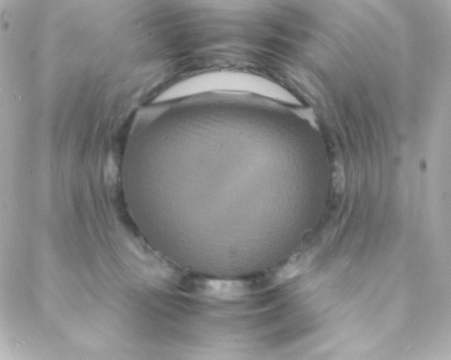 X0000088130371200705291339