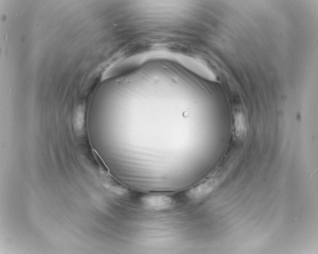 X0000088130372200705291339