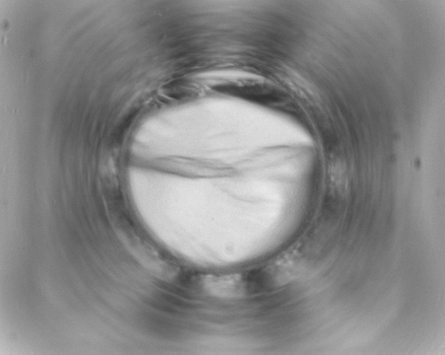 X0000088130373200705291339