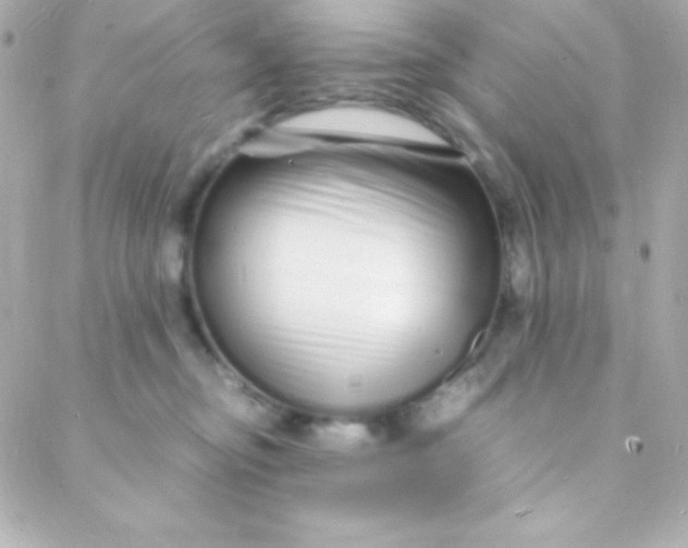 X0000088130374200705291339