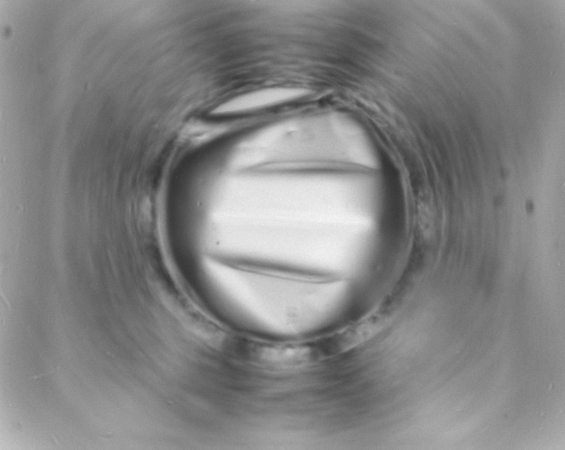 X0000088130375200705291339