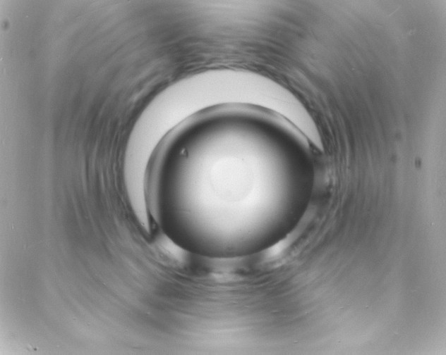 X0000088130376200705291339