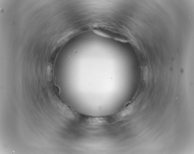 X0000088130378200705291339