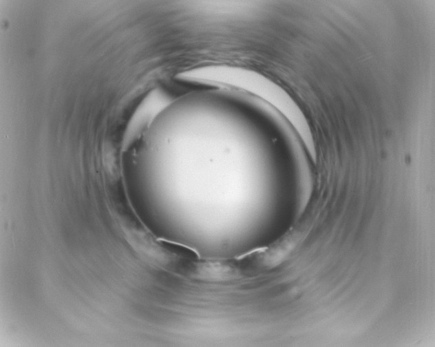 X0000088130380200705291339