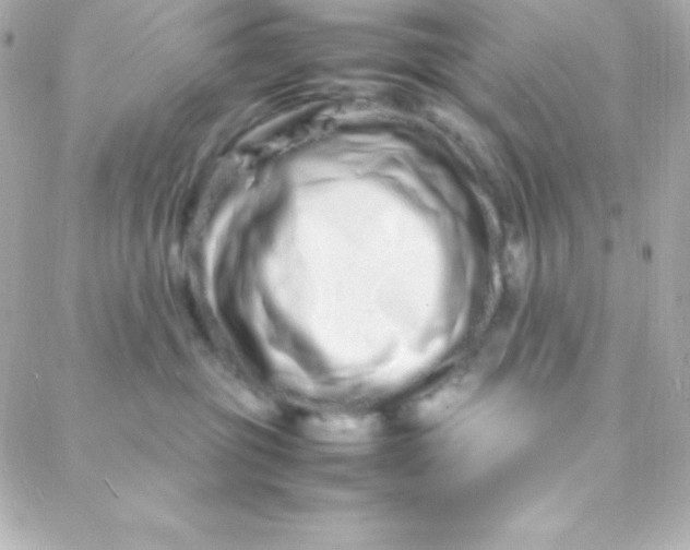 X0000088130381200705291339