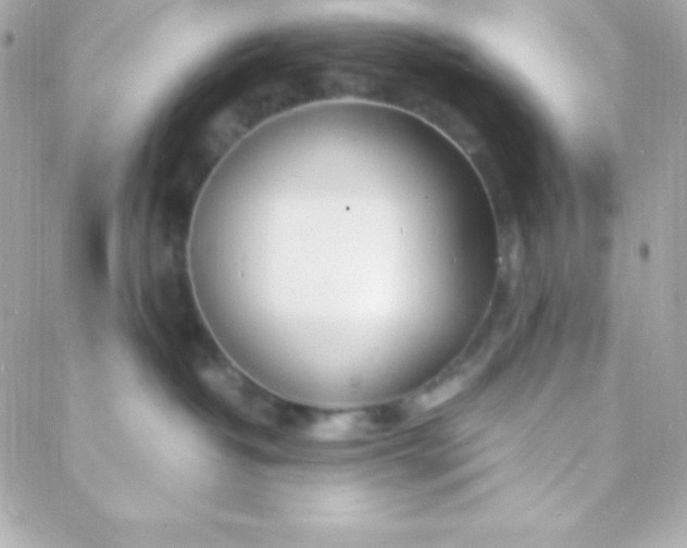 X0000088130382200705291339