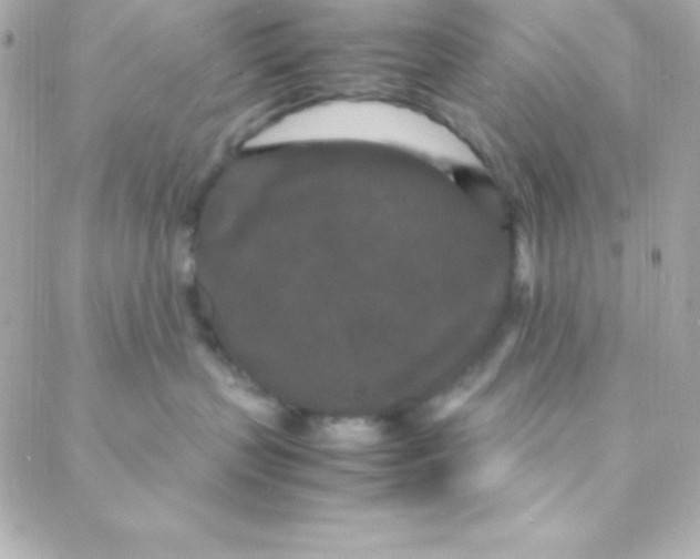 X0000088130383200705291339