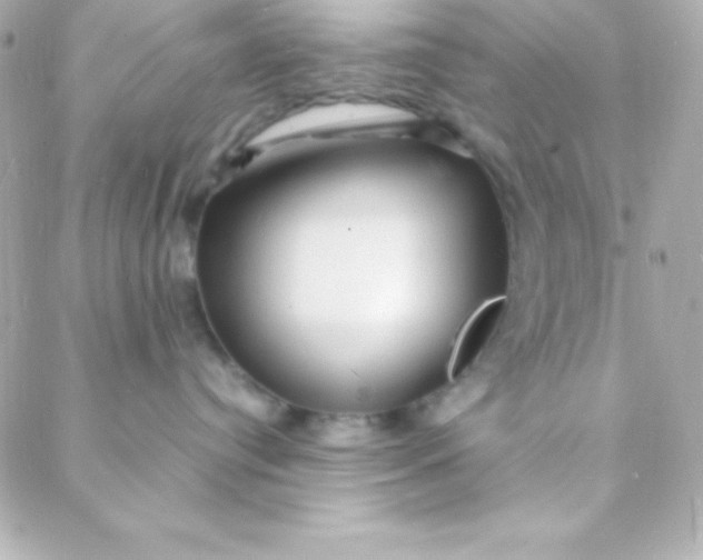 X0000088130384200705291339