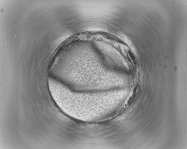 X0000088130385200705291338