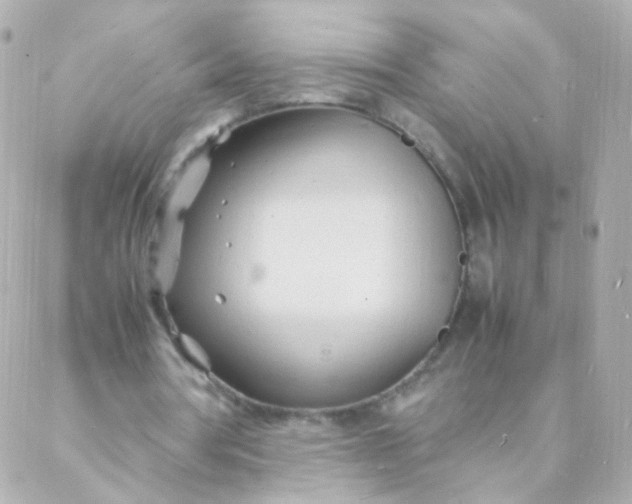 X0000088130386200705291338