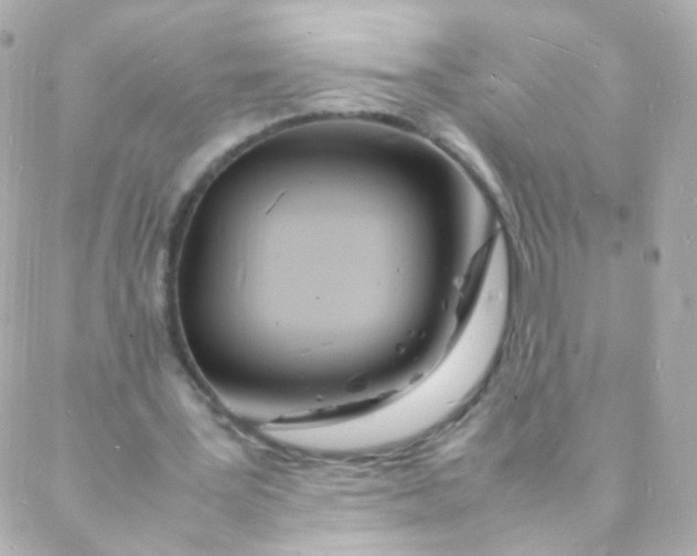 X0000088130387200705291338