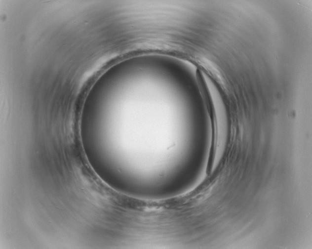 X0000088130388200705291338