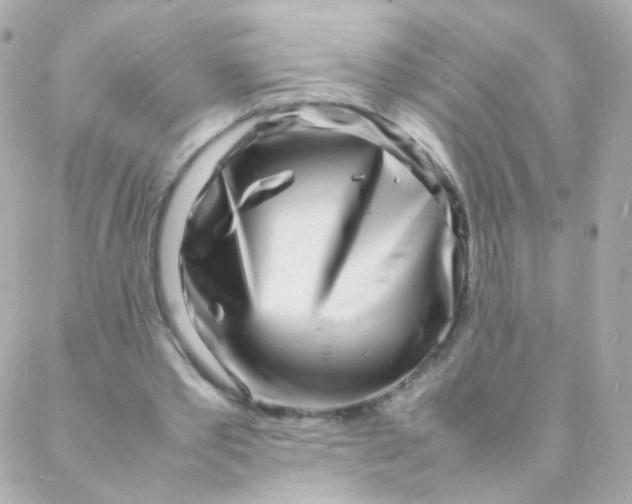 X0000088130389200705291338