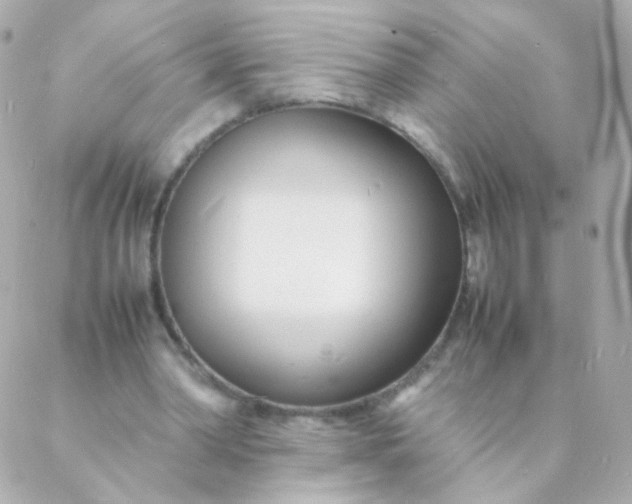 X0000088130390200705291338